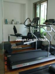 Newton 18 (D11), Apartment #128379322
